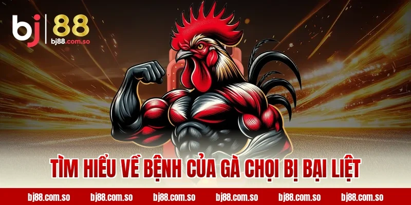 Tìm hiểu về bệnh của gà chọi bị bại liệt
